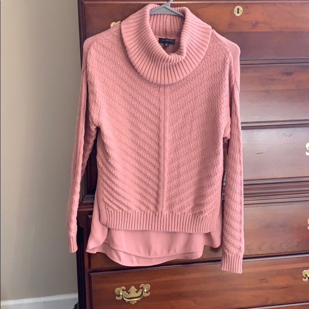 Mauve turtleneck